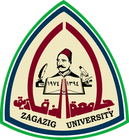 Zagazig University Hospitals