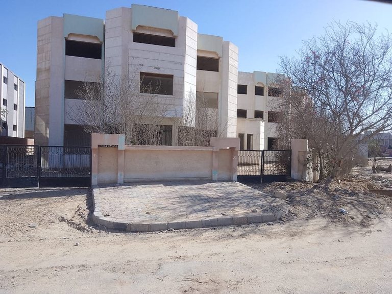 1994 — The first factory starts production in Badr City
